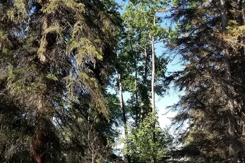 Chitek Lake Provincial Rec Site