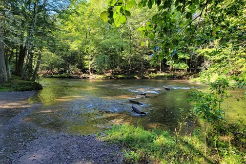 Rip Van Winkle Campgrounds Inc