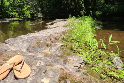 Rip Van Winkle Campgrounds Inc