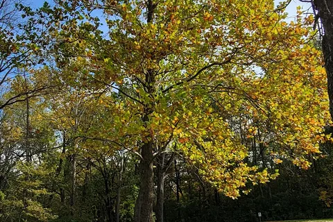 Johnson-Sauk Trail State Recreational Area