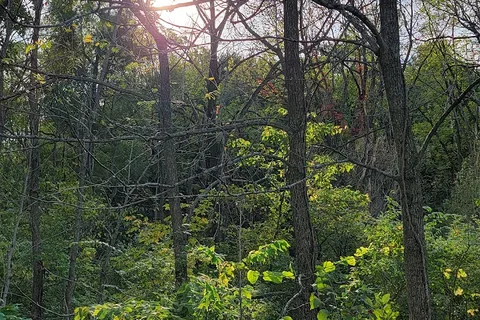 Johnson-Sauk Trail State Recreational Area