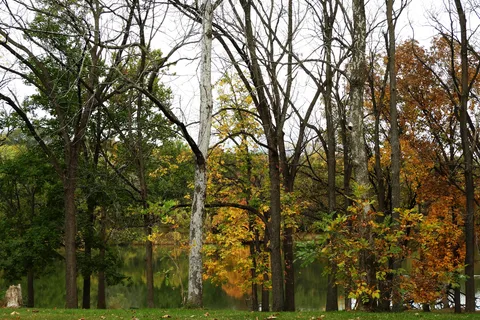 Johnson-Sauk Trail State Recreational Area