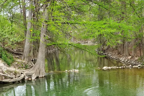 Riverbend On The Frio Cabin and RV Park