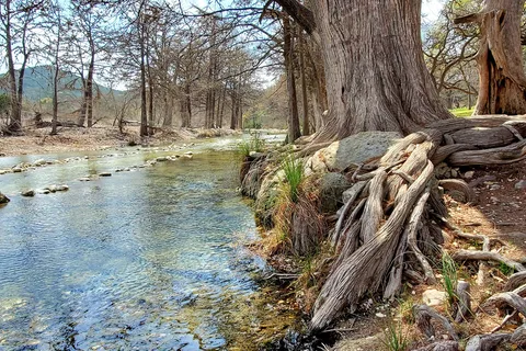 Riverbend On The Frio Cabin and RV Park