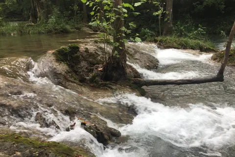 Cold Springs Campground - Chickasaw National Recreational Area