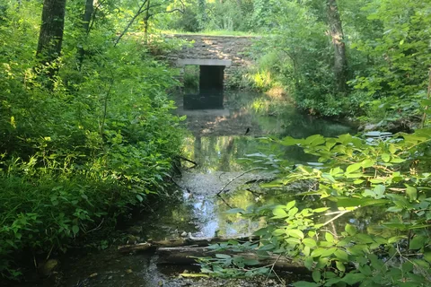Cold Springs Campground - Chickasaw National Recreational Area