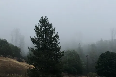 Cuneo Creek Horse Camp - Humboldt Redwoods State Park
