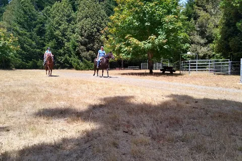 Cuneo Creek Horse Camp - Humboldt Redwoods State Park