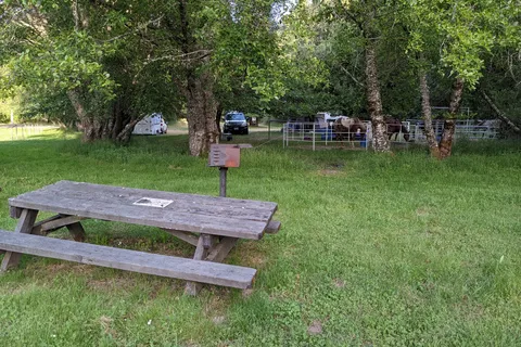 Cuneo Creek Horse Camp - Humboldt Redwoods State Park