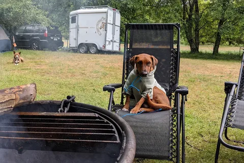 Cuneo Creek Horse Camp - Humboldt Redwoods State Park