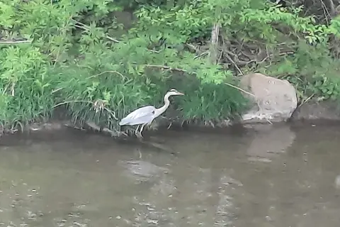 Creek Side RV Park