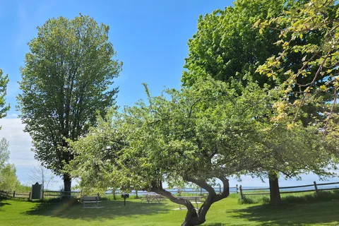 Orchard Beach State Park