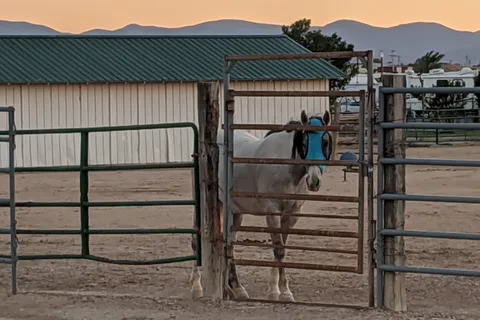 Pueblo West Campground and Horse Arena