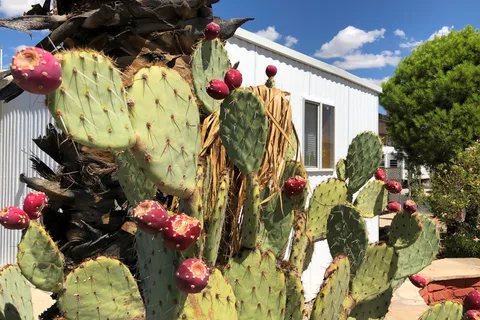 Western Way RV Resort
