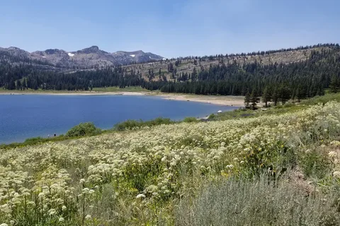 Middle Creek - PGE