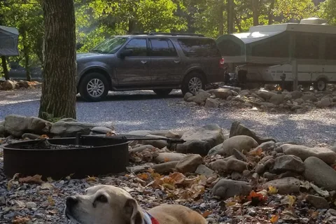 Jonesborough / Cherokee NF KOA Journey