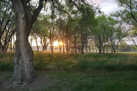 West Whitlock Recreation Area