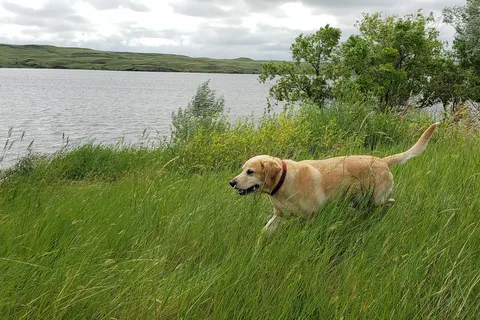 West Whitlock Recreation Area