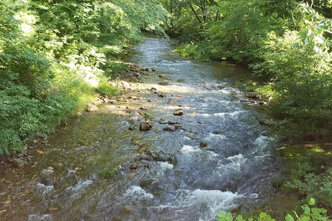 Whispering Pines - Douthat State Park