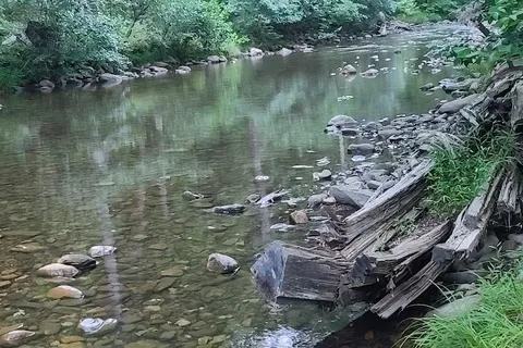 Whispering Pines - Douthat State Park
