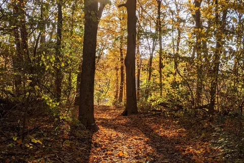 Lowden State Park