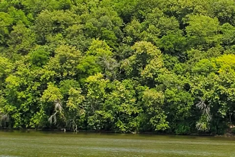 Lowden State Park