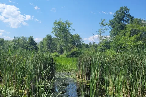 Bomoseen State Park