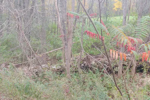 Bomoseen State Park
