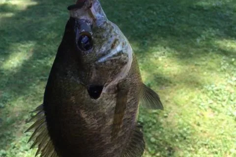 Jeffco Lakes Campground