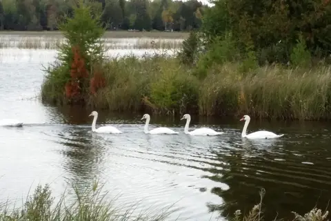 Paradise Point RV Park