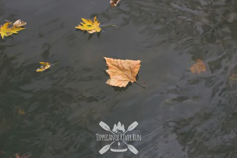 Tippecanoe River Run