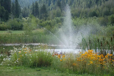 Friday's RV Retreat and Fly Fishing Ranch