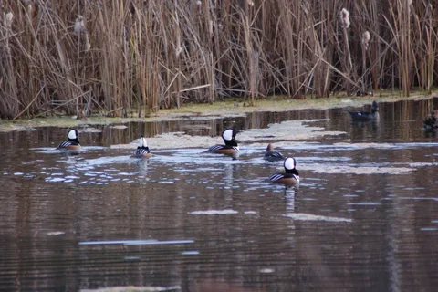 Friday's RV Retreat and Fly Fishing Ranch