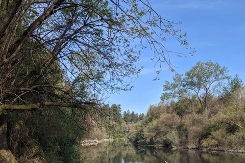 Mirabel RV Park and Campground
