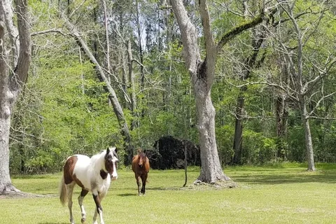 The Green Woods Stables RV Park