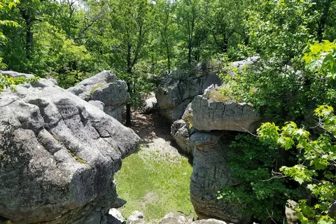 Horse Pens 40