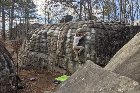Horse Pens 40