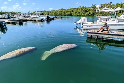 Sunshine Key RV Resort and Marina