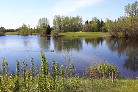Goose Hummock RV Resort