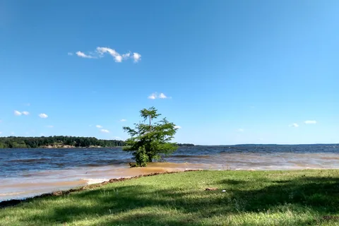 Shirley Creek Marina and Campground