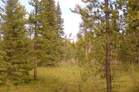 Cartier Creek Provincial Recreational Area