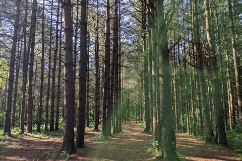Areas 1-2-3 - Paint Creek State Park