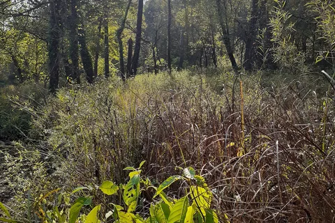 Areas 1-2-3 - Paint Creek State Park