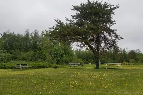 Wishwood Resort