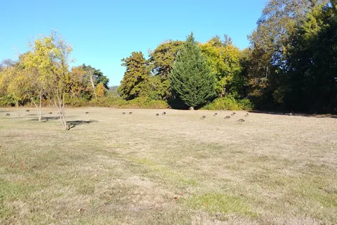 Timber Valley Park