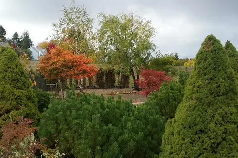 Timber Valley Park