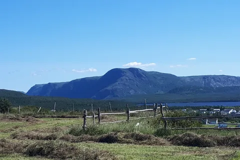 Elephants Head RV Park and Gros Morne Glamping