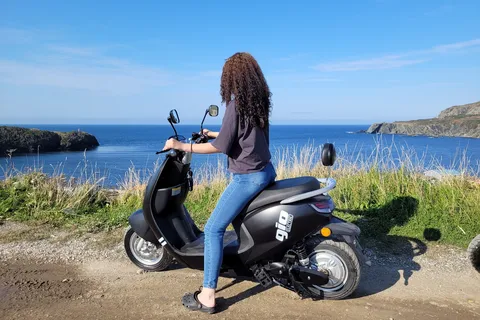 Elephants Head RV Park and Gros Morne Glamping