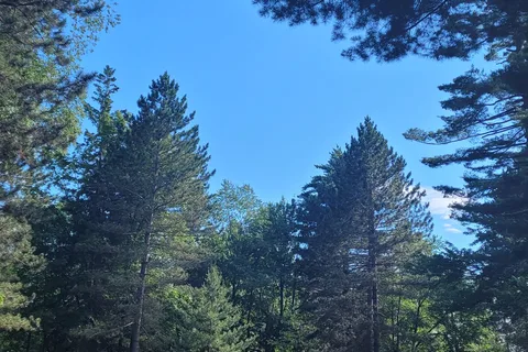 Van Riper State Park