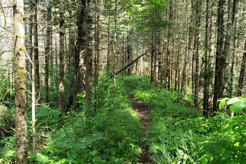 Van Riper State Park